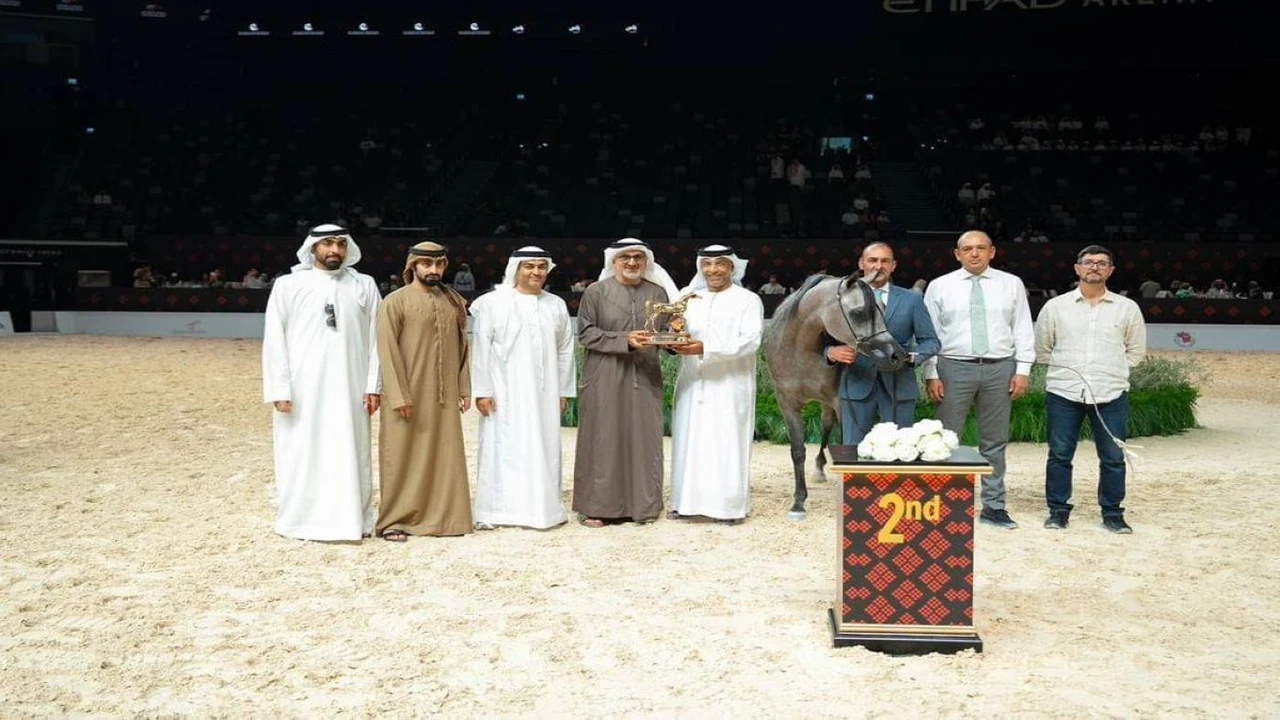 بمشاركة 369 خيلاً.. انطلاق بطولة أبوظبي الدولية لجمال الخيل العربية في الإمارات